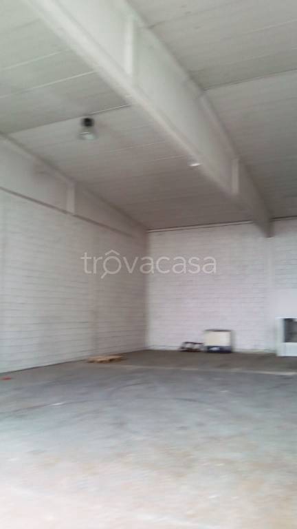 appartamento in affitto a Gorla Minore