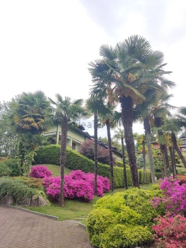 appartamento in affitto a Laveno-Mombello in zona Laveno