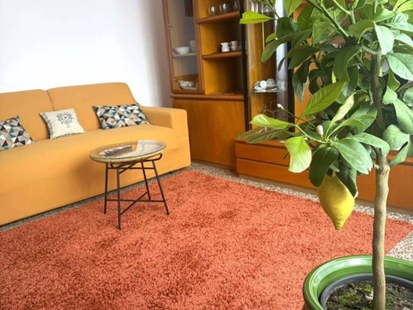 appartamento in affitto a Laveno-Mombello in zona Laveno