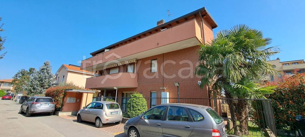 appartamento in affitto a Saronno