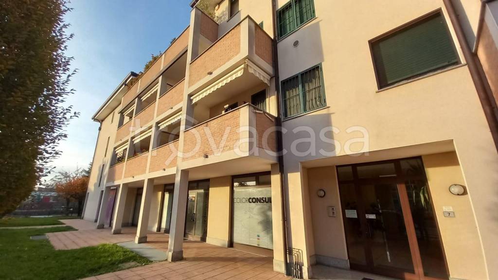 appartamento in affitto a Saronno