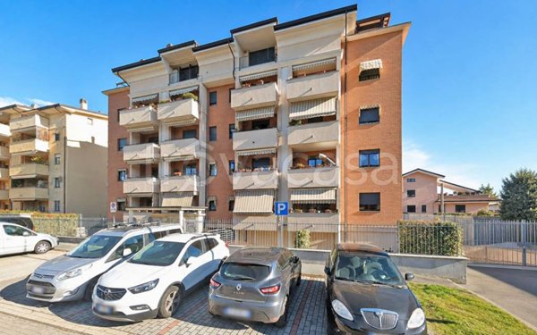 appartamento in affitto a Saronno