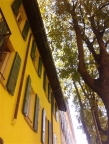 appartamento in affitto a Saronno