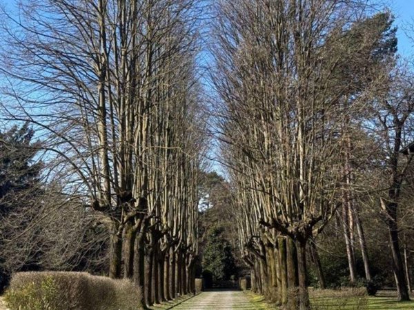 casa indipendente in affitto a Somma Lombardo