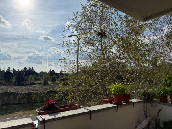 appartamento in affitto a Tradate