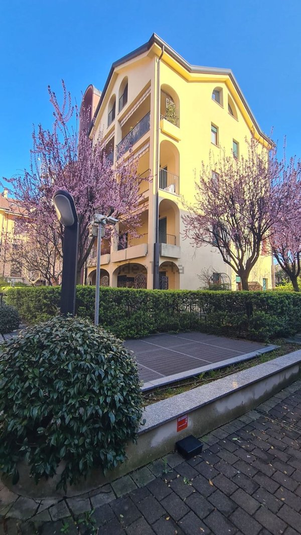 appartamento in affitto a Tradate