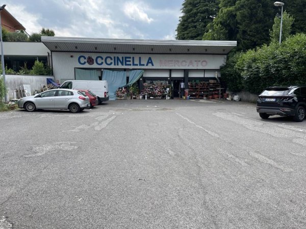 appartamento in affitto a Tradate