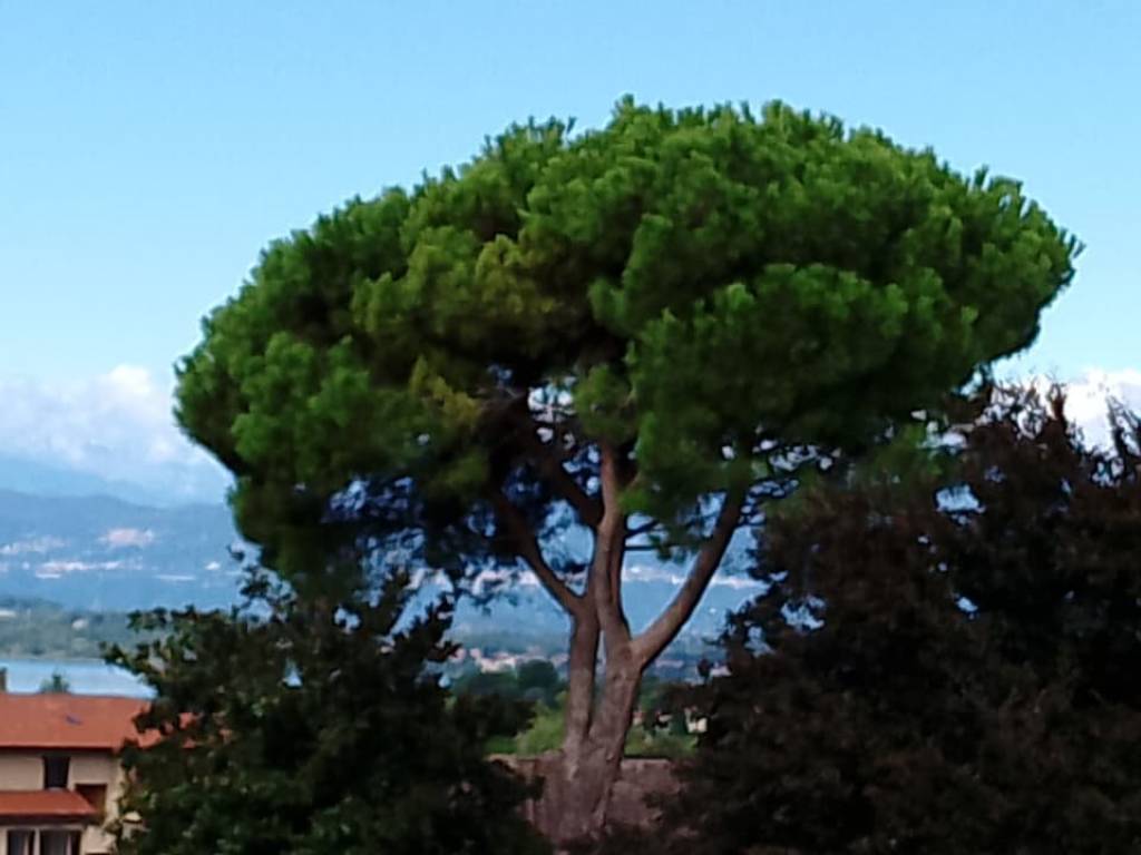 appartamento in affitto a Varese in zona Bobbiate