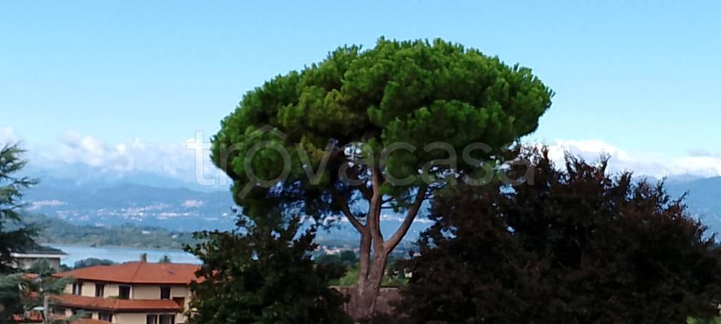 appartamento in affitto a Varese in zona Bobbiate