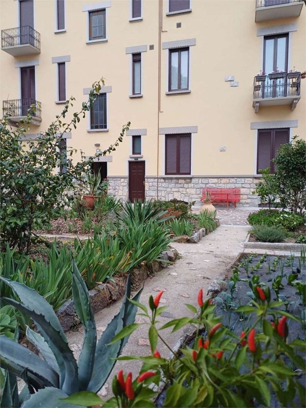 appartamento in affitto a Varese