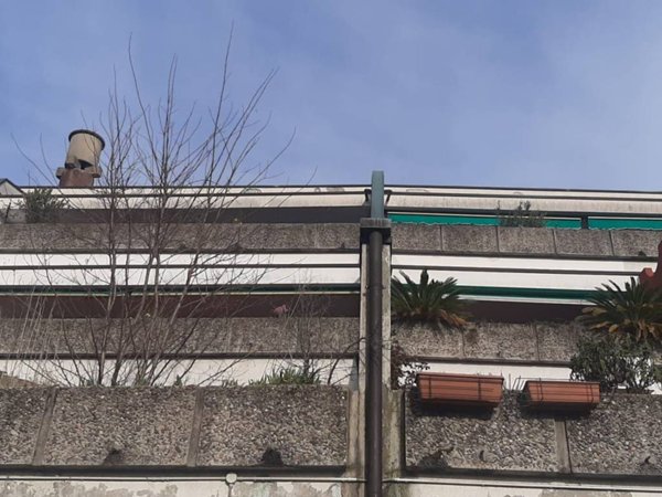 appartamento in affitto a Varese in zona Giubiano