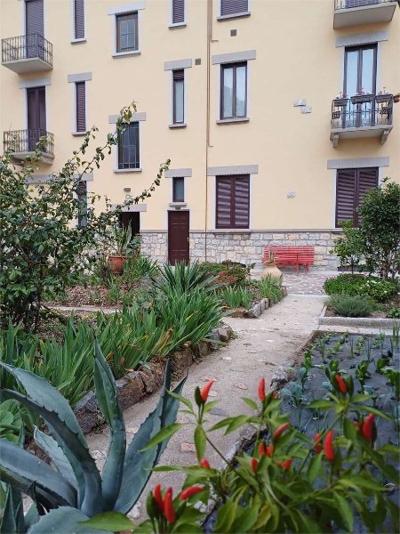 appartamento in affitto a Varese