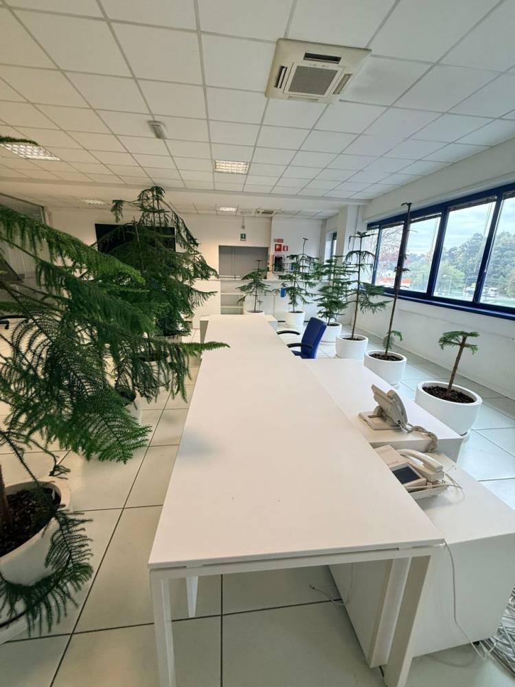 ufficio in affitto a Vergiate
