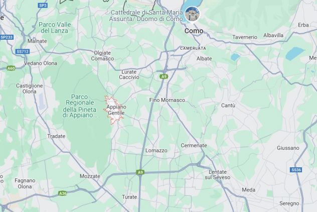 appartamento in affitto ad Appiano Gentile