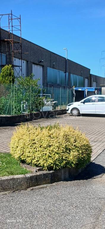 appartamento in affitto a Bregnano