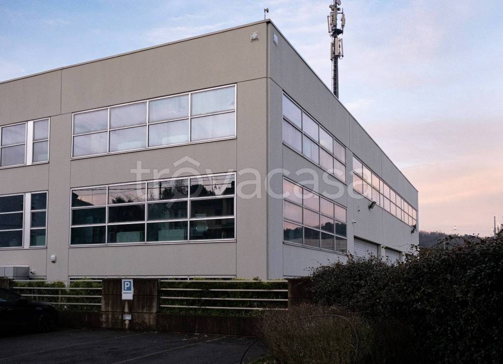 ufficio in affitto a Cantù