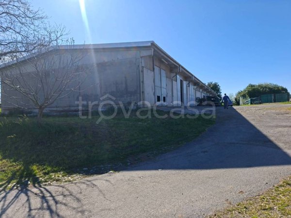 locale commerciale in affitto a Cantù