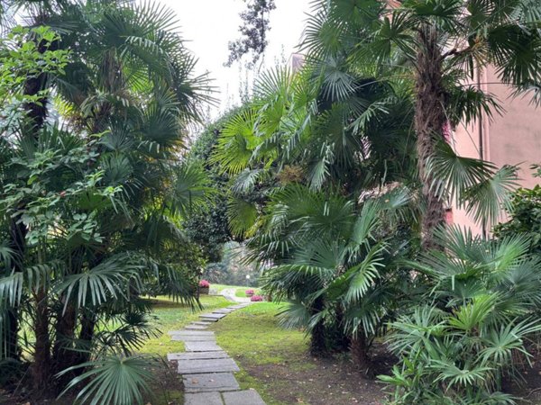 appartamento in affitto a Cernobbio