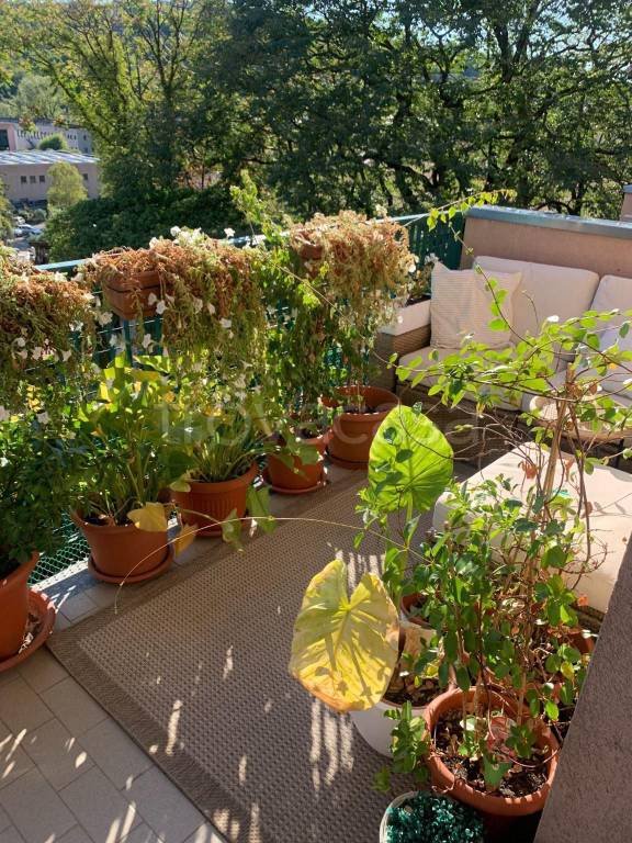 appartamento in affitto a Cernobbio