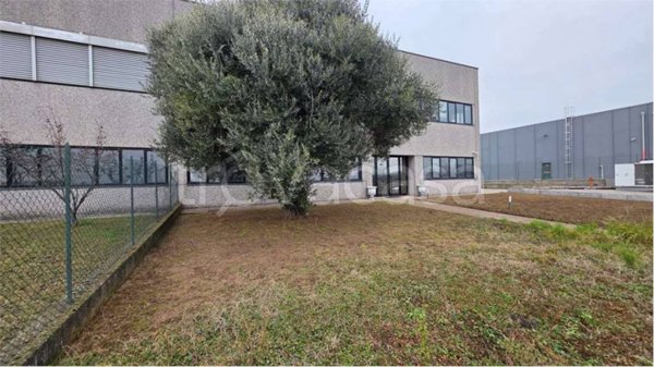 locale commerciale in affitto a Cirimido