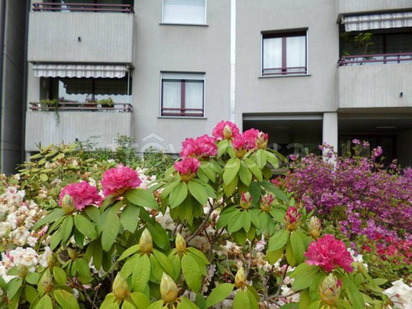 appartamento in affitto a Como in zona Monte Olimpino