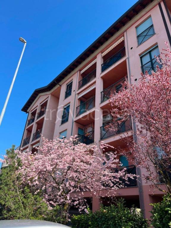 appartamento in affitto a Como in zona Camerlata