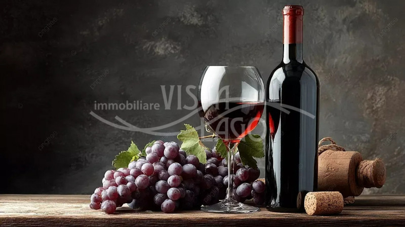 negozio in affitto a Como in zona Como Centro