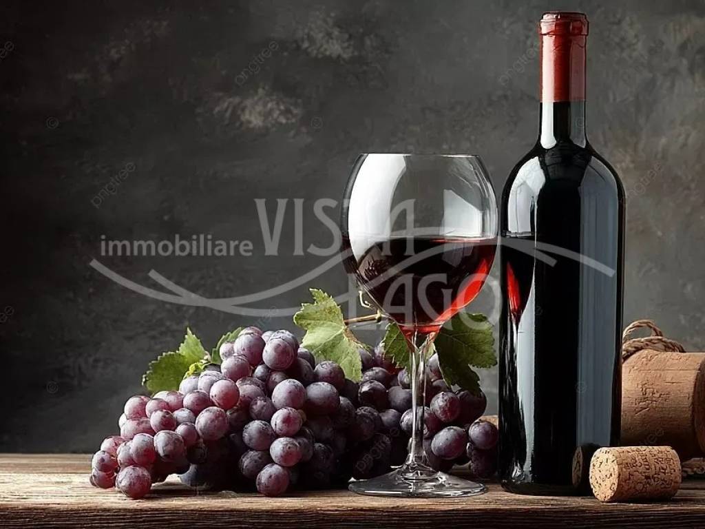 negozio in affitto a Como in zona Como Centro