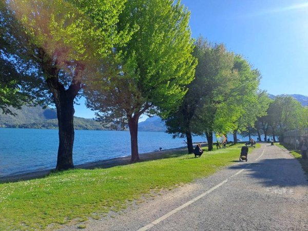 appartamento in affitto a Domaso