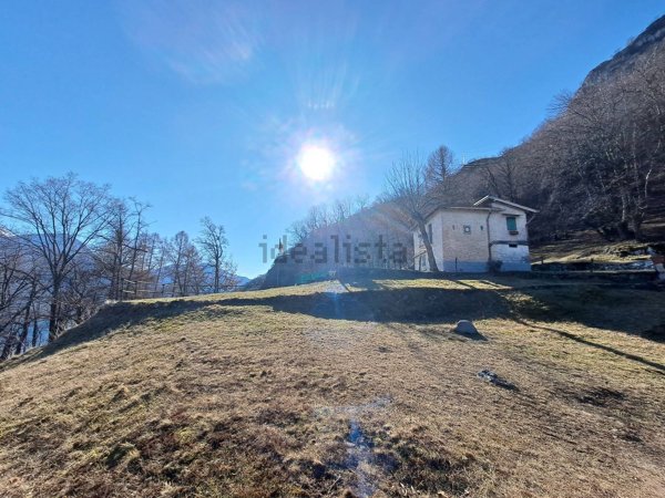 appartamento in affitto a Dongo