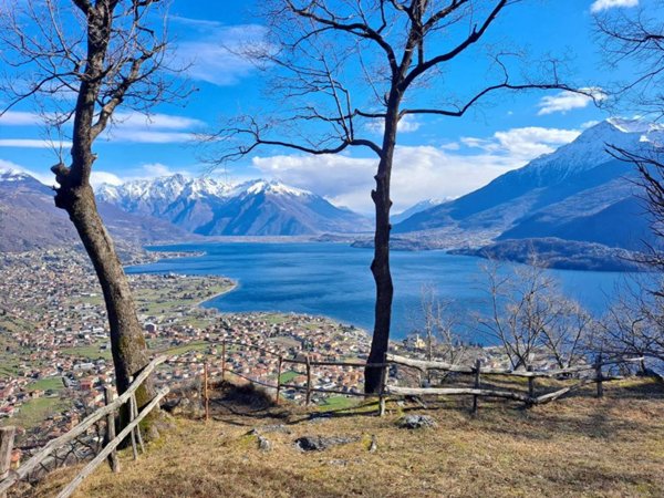 casa indipendente in affitto a Dongo