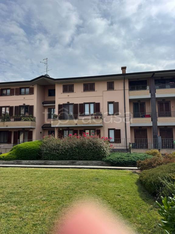 appartamento in affitto a Guanzate