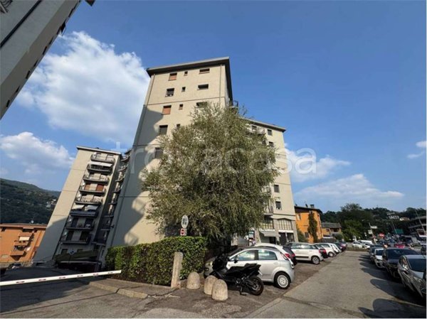 immagine annuncio 0 di 15