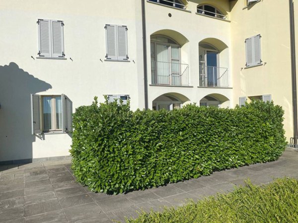 appartamento in affitto a Longone al Segrino
