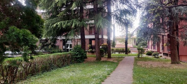 appartamento in affitto a Mariano Comense