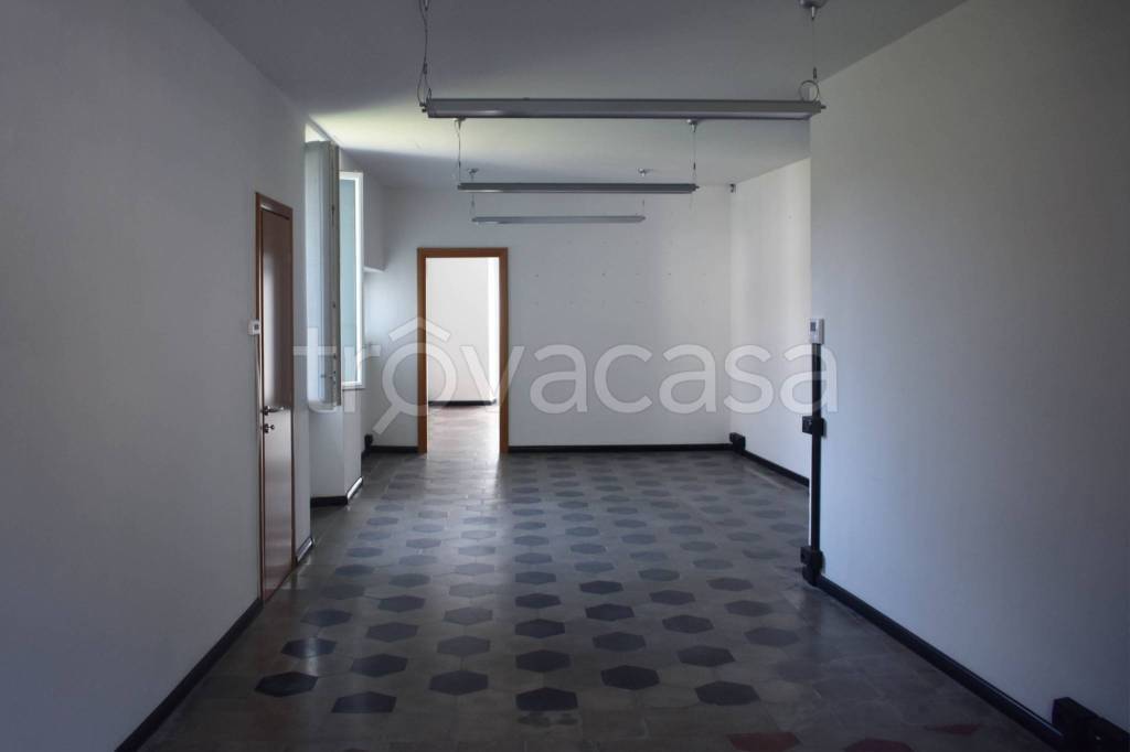 immagine annuncio 0 di 15