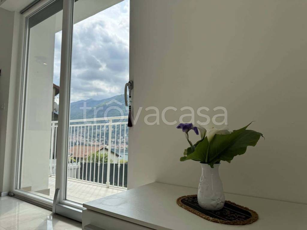 immagine annuncio 0 di 15