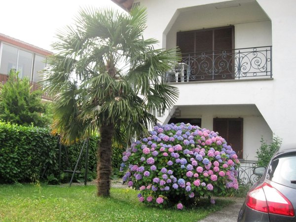 appartamento in affitto a Porlezza