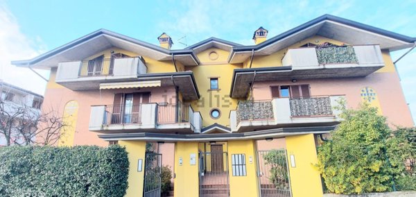 appartamento in affitto a Rovellasca