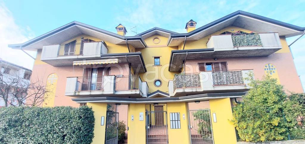 appartamento in affitto a Rovellasca