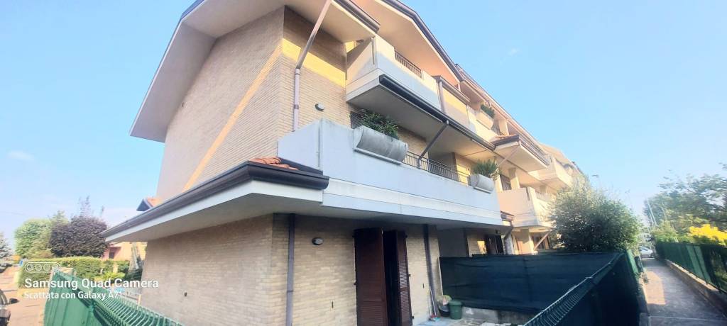appartamento in affitto a Rovellasca