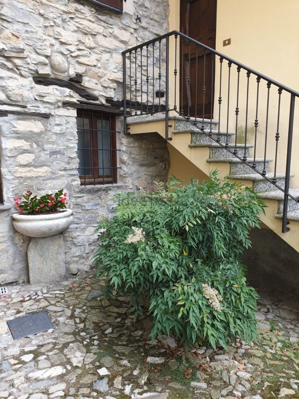 appartamento in affitto a Centro Valle Intelvi