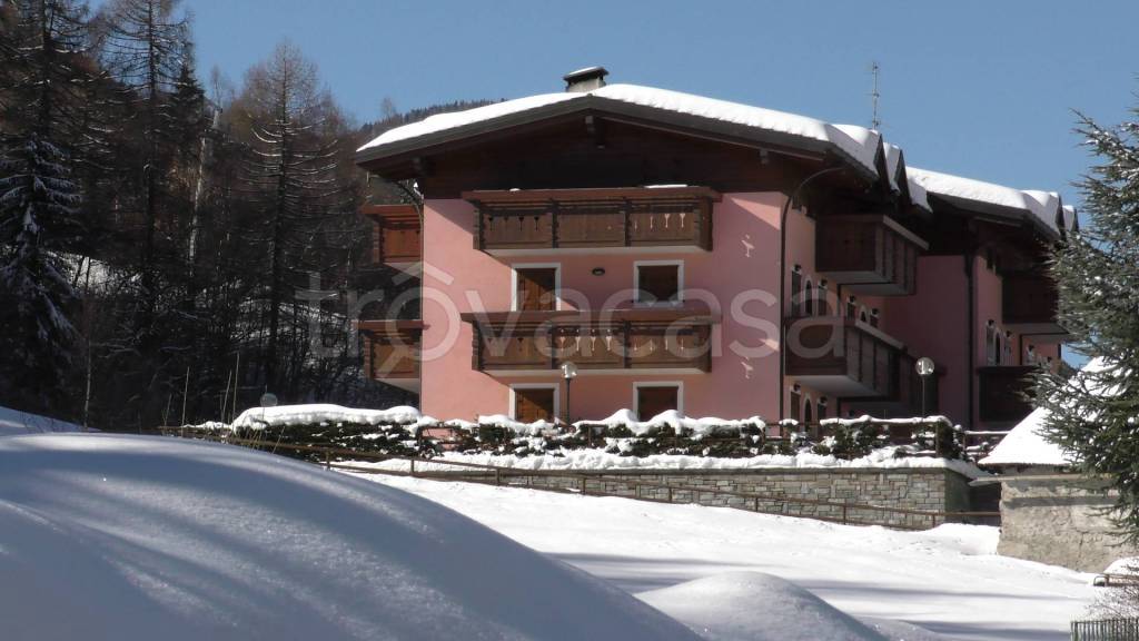 appartamento in affitto ad Aprica