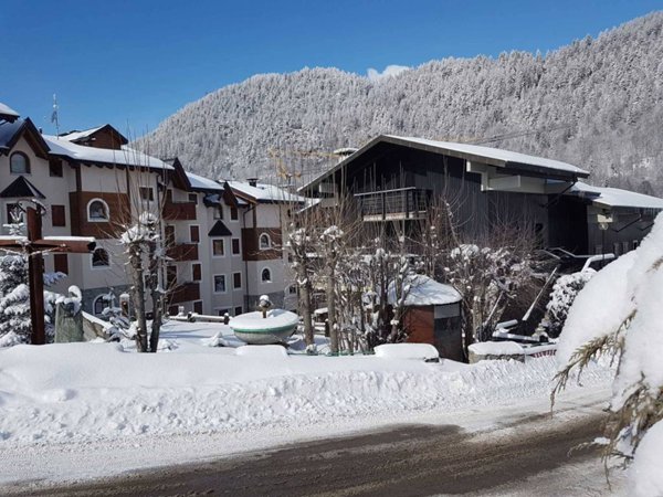 appartamento in affitto ad Aprica