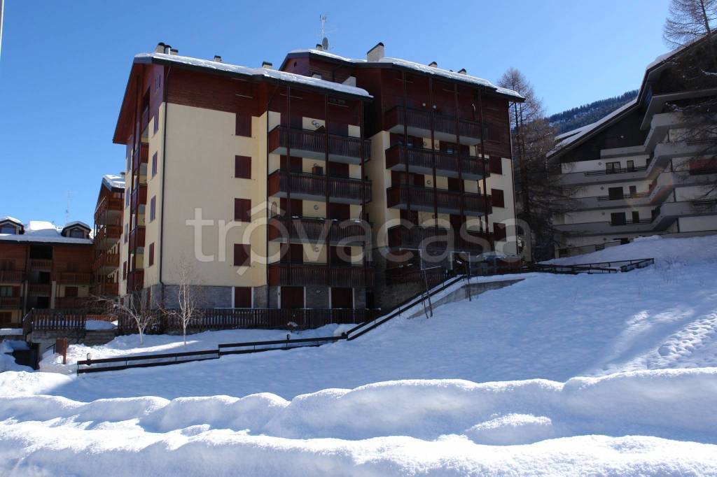 appartamento in affitto ad Aprica