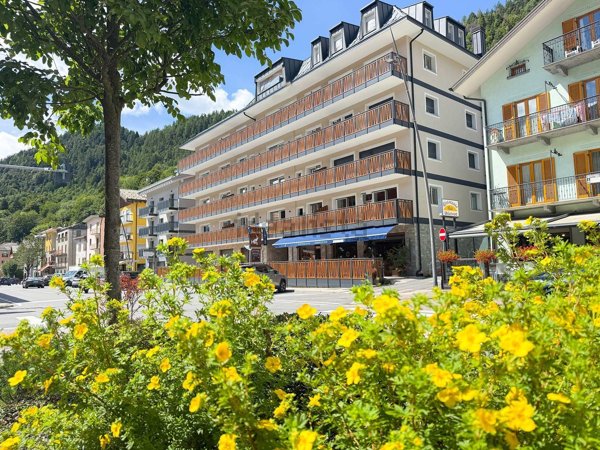 appartamento in affitto ad Aprica