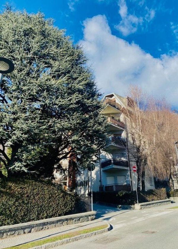 appartamento in affitto a Bormio