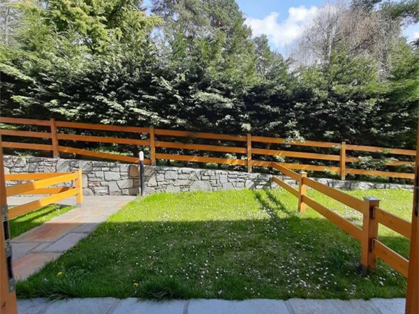 appartamento in affitto a Bormio