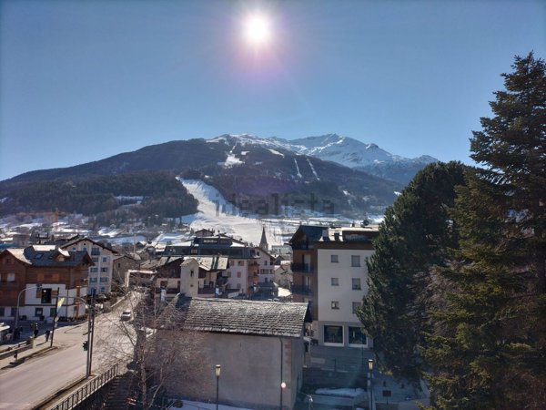 appartamento in affitto a Bormio