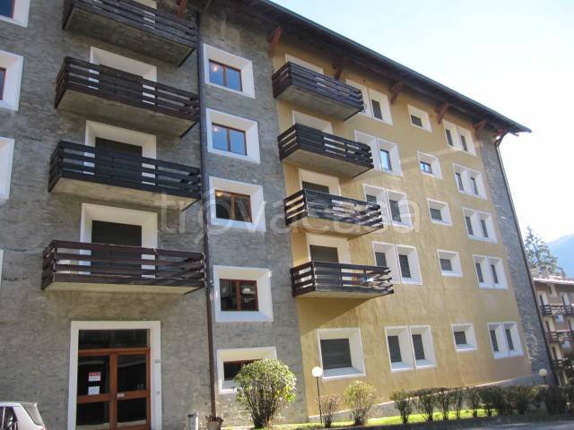 appartamento in affitto a Chiesa in Valmalenco